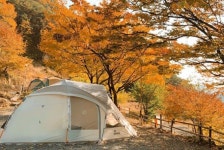 가을 캠핑 명소
