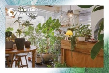 집에 두고 싶은 화분 하나 #플랜테리어