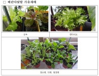 가을 베란다 텃밭 가꾸기, 준비하세요!