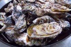 거제도에 굴 맛집이 많은 이유는? ... 굴양식장 산재해 신선한 식재료 수급 수월