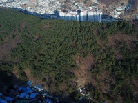 한국임업진흥원, 부산진구 합동 예찰조사 실시!