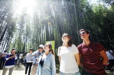 운수대통(運數大通)하려거든, 담양으로 오라!