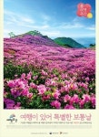 봄 여행의 시작, 산촌으로 떠나는 힐링여행