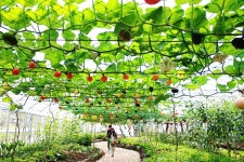 함평나비축제 친환경농업관, 아이들 생태학습장으로 인기