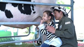 강릉 단오장에서 신선한 목장 체험 해볼까?