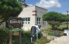 전남농기원, 올 여름은 농촌교육농장·농가맛집서