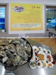 요즘 대세 먹방여행... 거제도맛집 퓨전굴요리로 시작