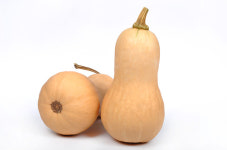 아시아종묘, 새로운 단호박 작목 땅콩호박 출시