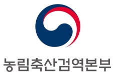 또 붉은 불개미 나와... 검역본부, 긴급방제 조치