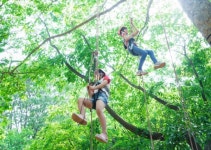 자연 휴양림 30주년 기념 국내 최대 숲 문화 축제 열려