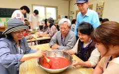 충북 농기원, 전통 장류식품 품질 높인다