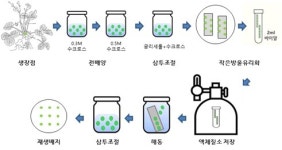 종자 번식 어려운 딸기, 초저온 동결로 영구 보존