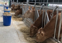 버려지는 과채류 부산물, 사료화 가능해