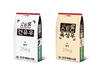 천하제일, 렛츠 스트롱 프로젝트 선보여