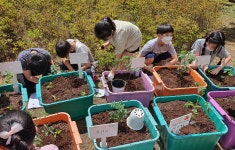 상자에 텃밭 만들기, 너무 재미 있어요