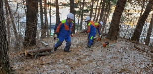 삼척국유림관리소, 산림 민원해결사 모십니다