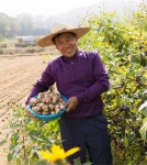 돼지감자 먹고 농촌체험도 즐겨요