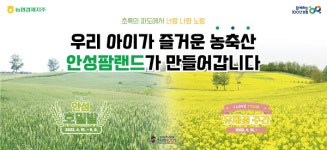 농협 안성팜랜드, 호밀밭 유채꽃 주간 시작