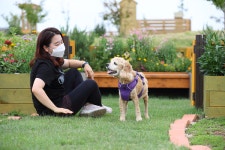 펫 휴머니제이션 시대, 반려동물 산업 미래 전망