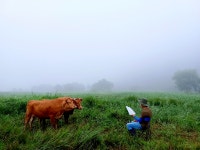 사람과 동물의 조화로운 공존, 사진에 담다