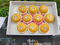 현성농장 나주배 산지직송 판매… 추석 맞이 특가행사