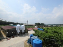 스마트축산으로 정밀사양관리... 휴먼 에러 제로 실현