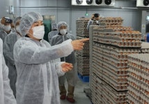 최첨단 스마트 산란농장, 축산업 혁신 이끈다