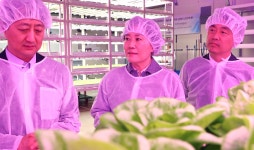 수직농장, 규제를 넘어 수출산업으로 도약