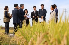 제1회 가루쌀 우수 생산단지 선정... 대상에 훈습영농조합법인