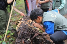 수목원 체험한 키즈탐험대, 숲생태계 지킴이 될래요