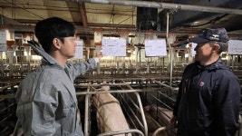 도드람양돈농협, 두드림 PSY3+ 캠페인 실시