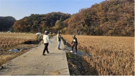 강원농기원·영월군, 콩 신품종 대왕2호 산업화
