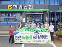 팔영농협, "영양소 풍부하고 안전한 '봄배추' 왔어요"
