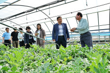 불임꽃가루 활용한 씨 없는 수박 조기 출하