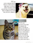 [#pet_family #specialist] 내 반려동물 가족을 소개합니다
