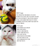 [#pet_family #specialist] 내 반려동물 가족을 소개합니다