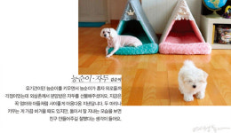 [#pet_family #specialist] 내 반려동물 가족을 소개합니다
