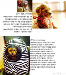 [#pet_family #specialist] 내 반려동물 가족을 소개합니다