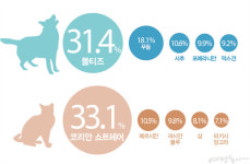 [#pet_family #specialist] 내 반려동물 가족을 소개합니다
