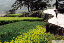 [#koreatrails #cheongsando ] 청산도, 삶은 이렇게 푸르다