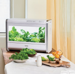 [#kyowon #wellsfarm] 우리 아이 채소 식습관이 자라는 윤유선의 ‘웰스팜’ 건강 식탁