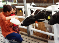 [#kids #place] 아이와 함께 감성 충전 봄나들이