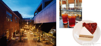 [#photo_zone] 인생샷을 찾아서 강릉 vs 속초 카페