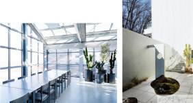 [hot place  강현숙 기자의 ‘핫플투어’] 미세먼지 굿바이~ 식물이 좋아!