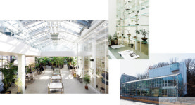 [hot place  강현숙 기자의 ‘핫플투어’] 미세먼지 굿바이~ 식물이 좋아!