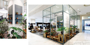 [hot place  강현숙 기자의 ‘핫플투어’] 미세먼지 굿바이~ 식물이 좋아!