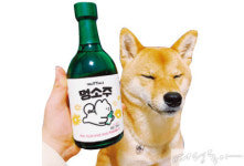 [pet] 멍소주·멍치킨·펫피자… 개 맛있는 세상
