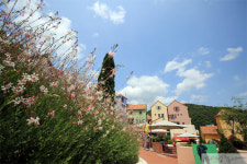 지금 가기 딱 좋은 여행지 Drive-Through Tour