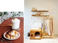 [강현숙 기자의 핫플투어] 유기견에 새주인 찾아주는 착한 공간, 슬로우 포레스트