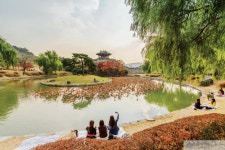[city tour] 정조와 문화 이야기가 담긴 수원 행궁동 걷기 여행